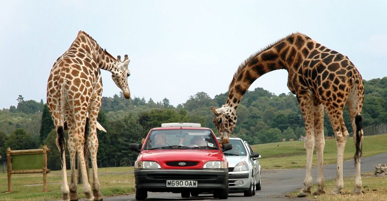 gaziantep-safari-park2