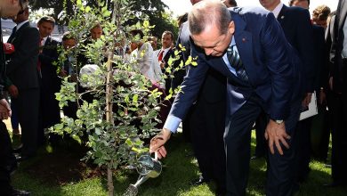 أردوغان سيرسل رسالة شخصية إلى 23 مليون أسرة تركية, ما المناسبة