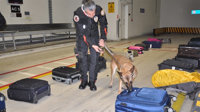 كلب بوليسي يكشف مخدرات بقيمة 11 مليون ليرة تركية قادمة من العراق