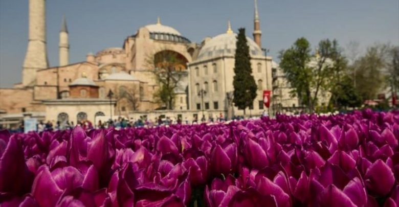 أزهار اسطنبول