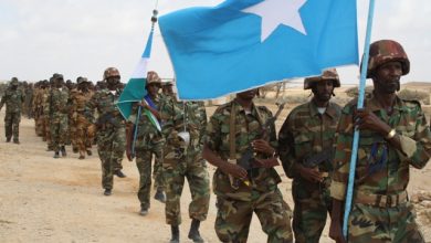 الصومال والإمارات