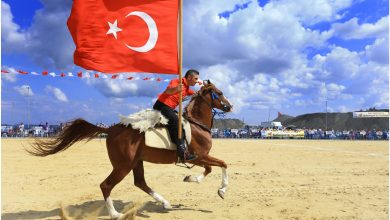 خيول تركية