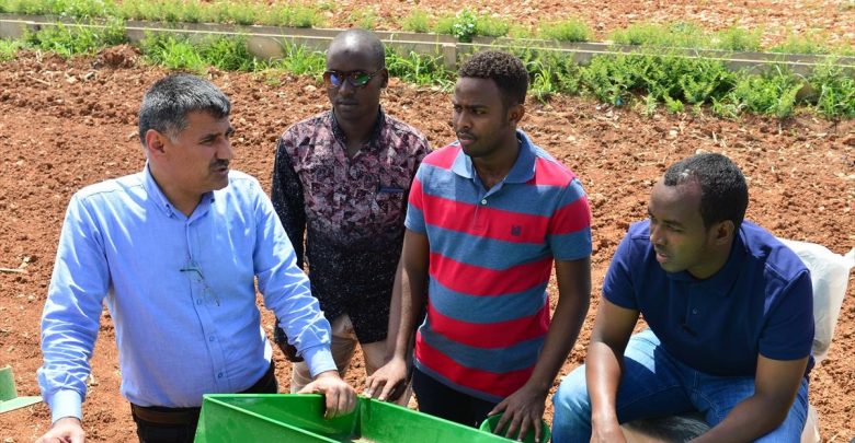 الزراعة في الصومال
