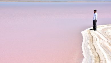 بحيرة الملح – ديلي صباح