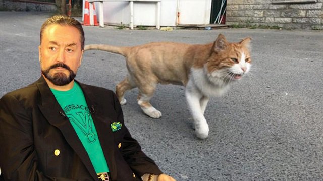 عدنان أوكتار و القطة الأسد
