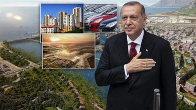 مشاريع أردوغان