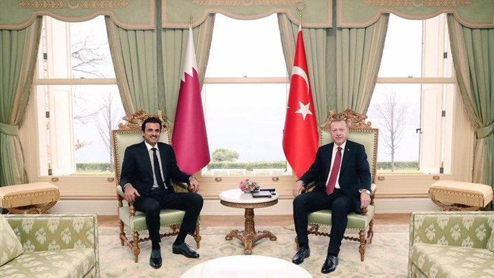 أردوغان و تميم