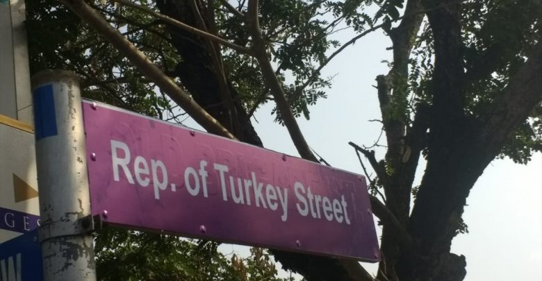 شارع الجمهورية التركية