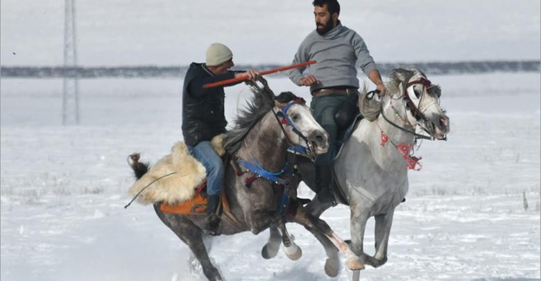 الحرب على الخيل