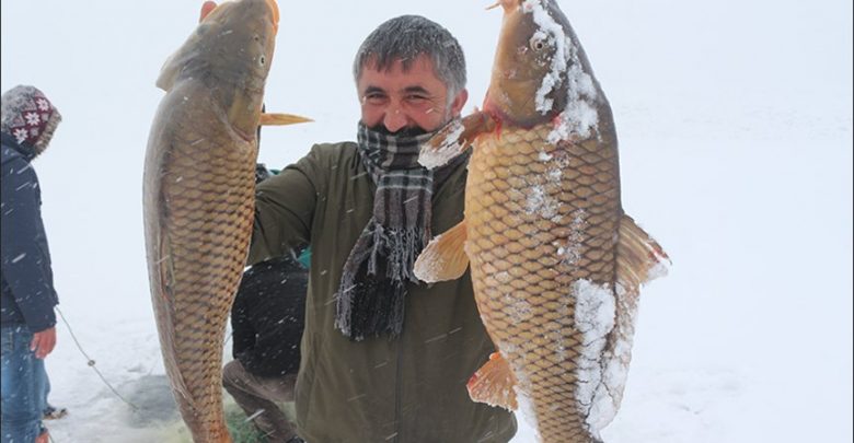 صيد السمك في الثلج