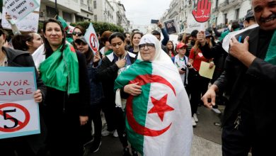 مظاهرات الجزائر تركيا بالعربي