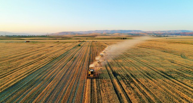 الزراعة في تركيا