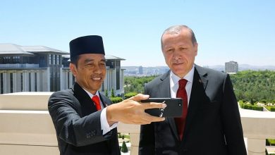 تركيا و إندونيسيا