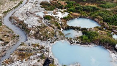 thumbs_b_c_c1d08b08b58ac1bb1a918950ed411e48