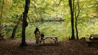 20211012_2_50398658_69561361_web