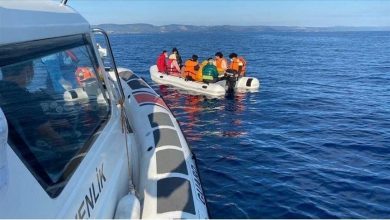 thumbs_b_c_8192cb612e573b1ed37d33c55b845e7f