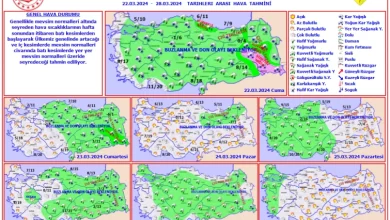 ekran-goruntusu-2024-03-22-123519-cvfs